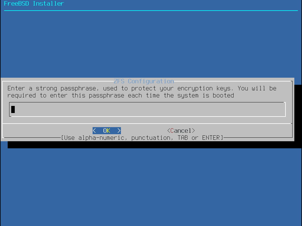 bsdinstall zfs geli password