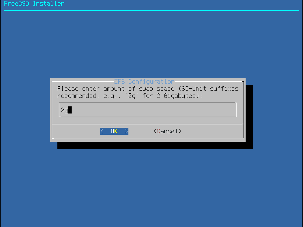 bsdinstall zfs swap amount