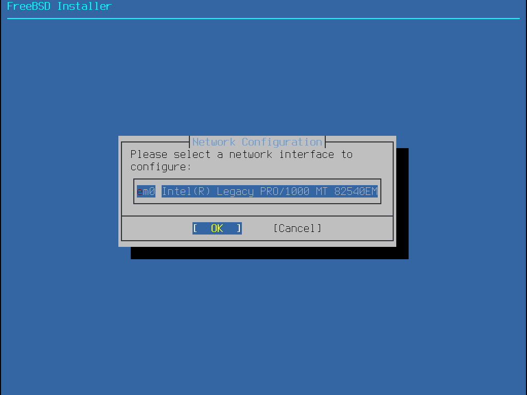 bsdinstall configure network interface