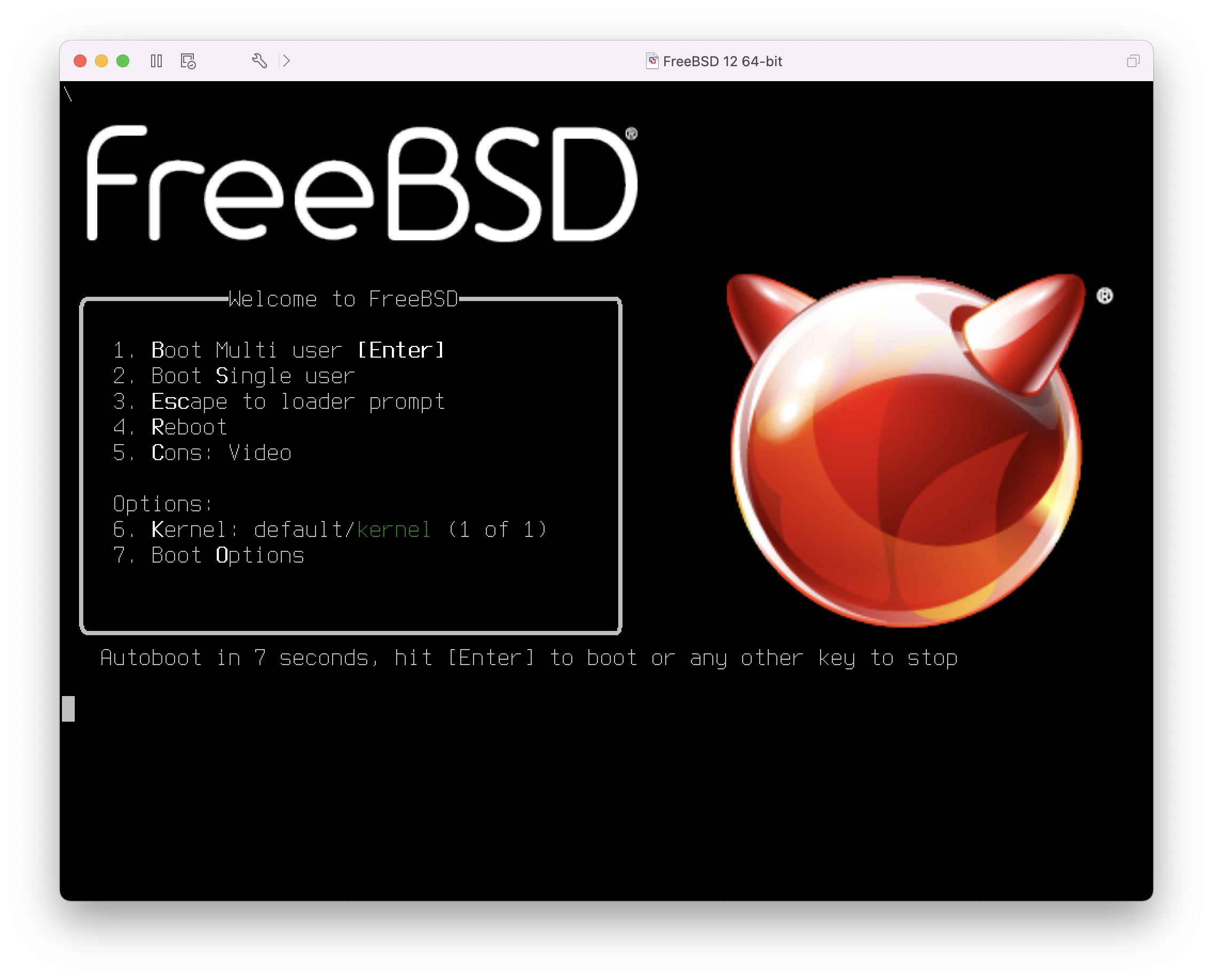 vmware freebsd10