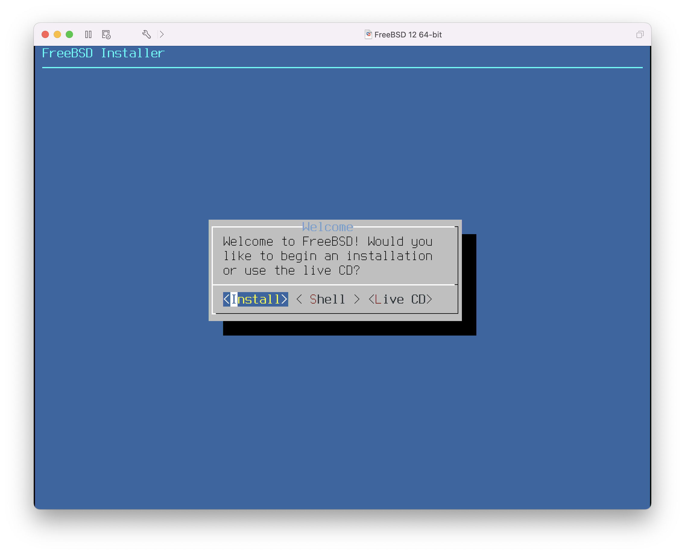 vmware freebsd11